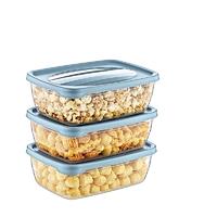 Rectangular Trend Storage Container 3 x 0.3 L-02 1014