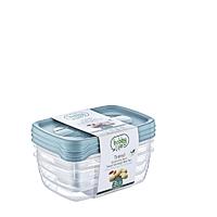  Rectangular Trend Storage Container 3 x 0.6 L-02 1015