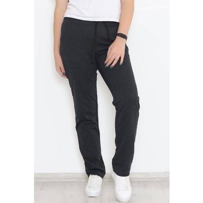 Straight Leg Plus Size Sweatpants Anthracite - 0389.1250.