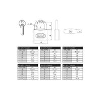 Кале 20 мм Сары жезден құлып KD-001/10-220