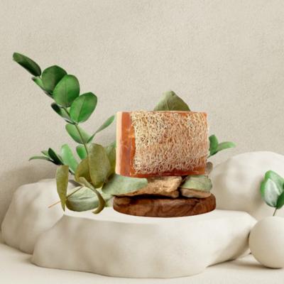 NEW SECRET Fiber Soap BK21