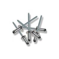 Perçin Pop 4X20 Mm (10 Adet)