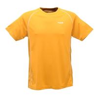 Regatta Elixir Erkek T-Shirt-SARI