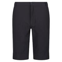 Regatta Highton ShortLong Erkek Şort-GRİ